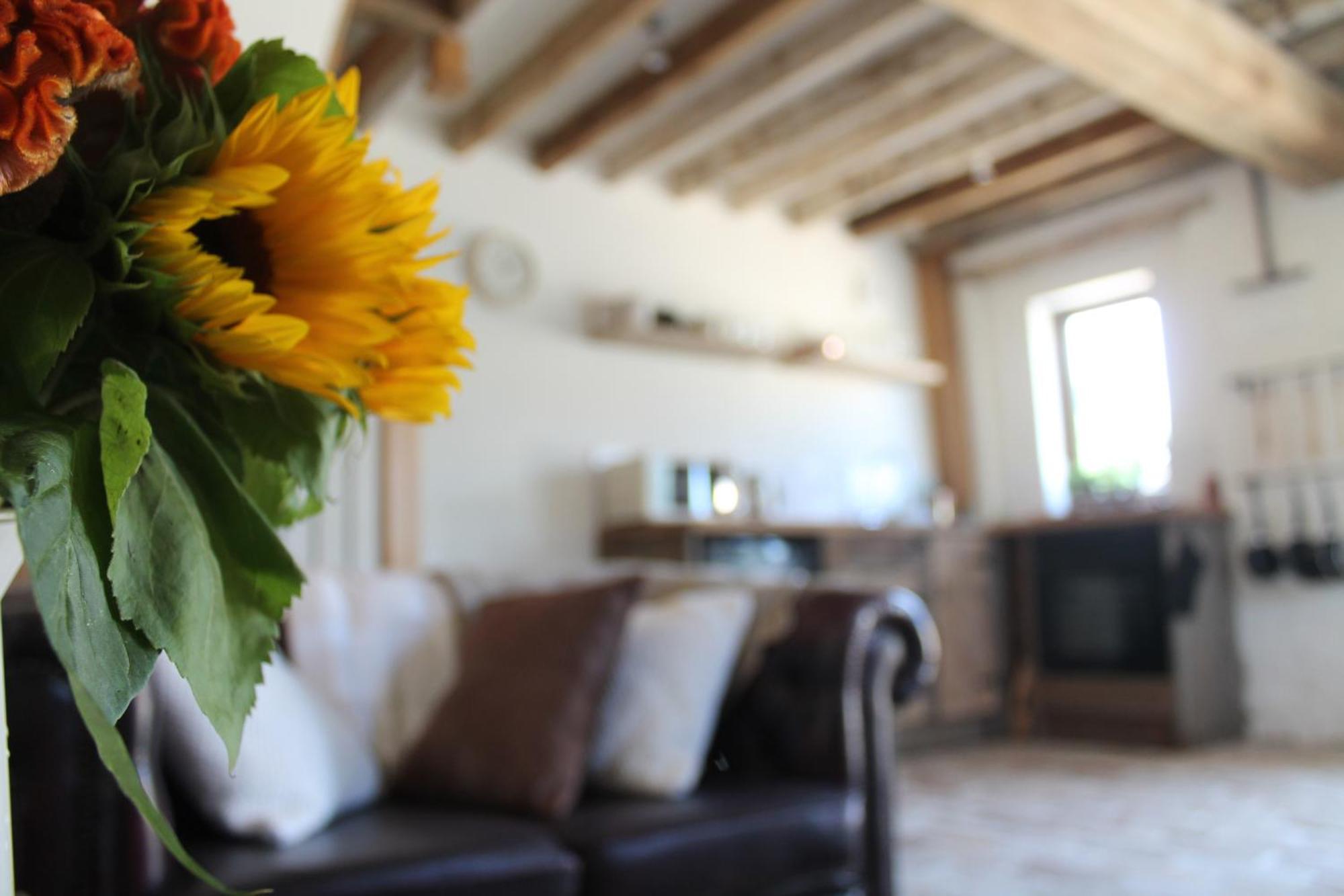 The Dovecote - Unique Self-Contained 1Bed Renovated Barn Villa Saffron Walden Kültér fotó